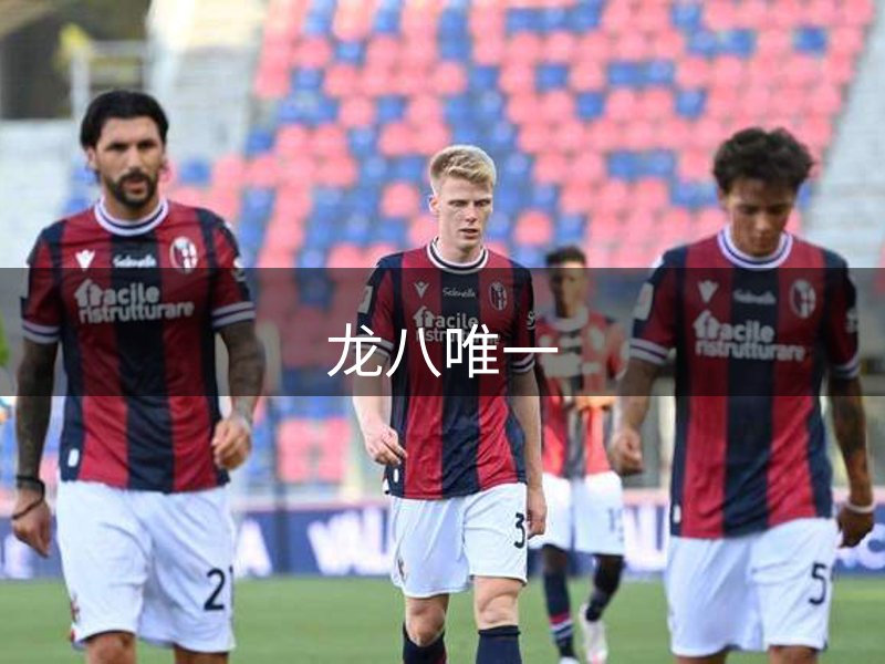 品牌优势